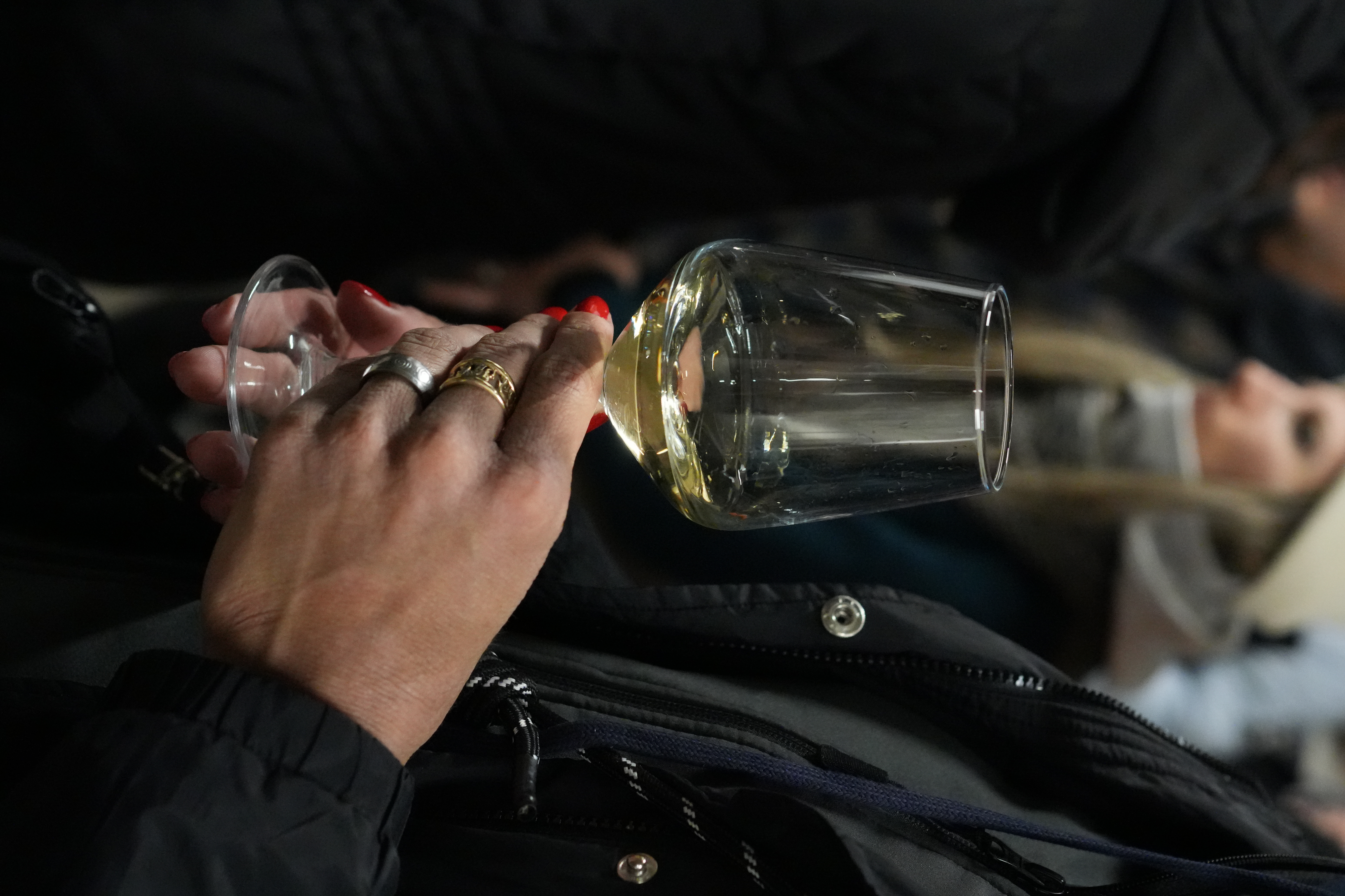 A Croatian winemaker talking guests through a tasting at his family vineyard